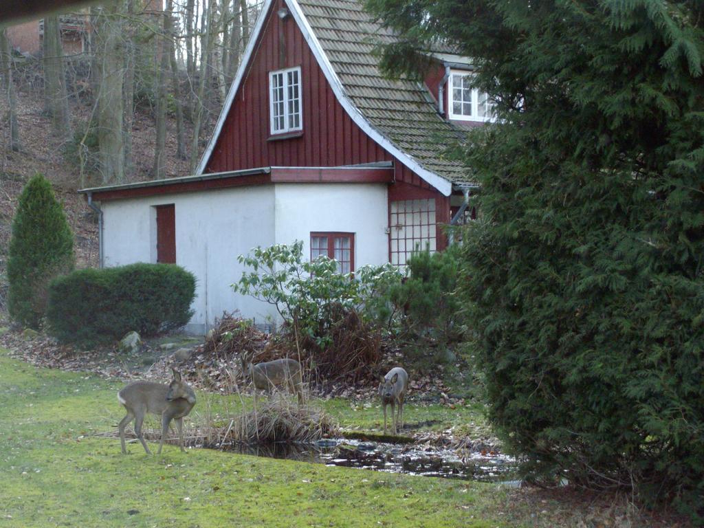 Skovvej Holiday House 1 Randers Exterior foto